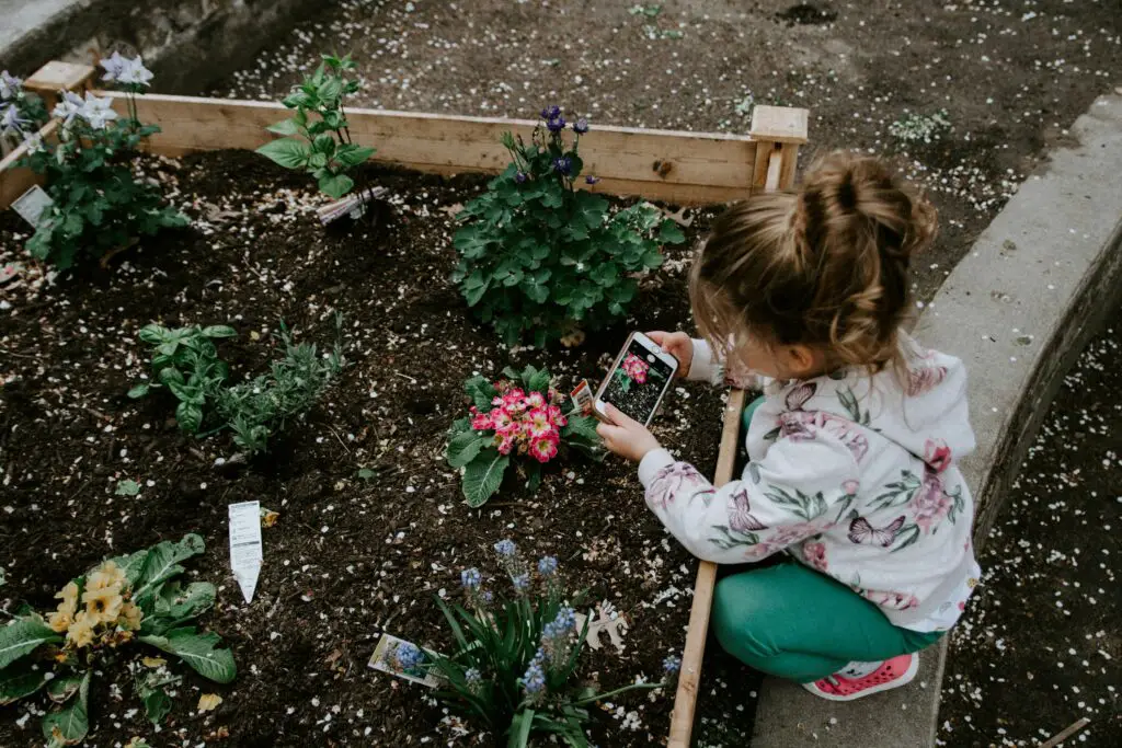 soil pollution